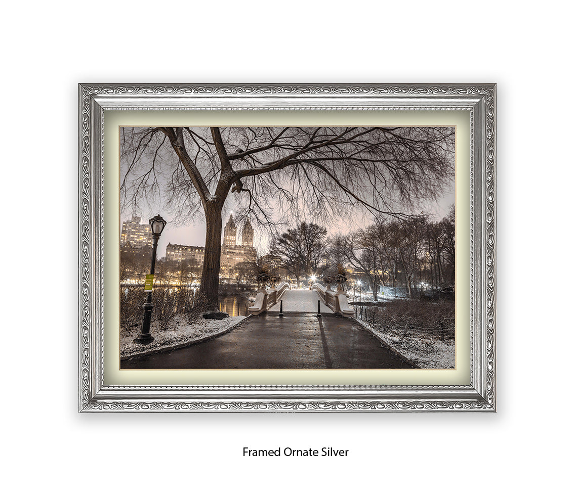 NYC Central Park Evening View Assaf Frank Art Print