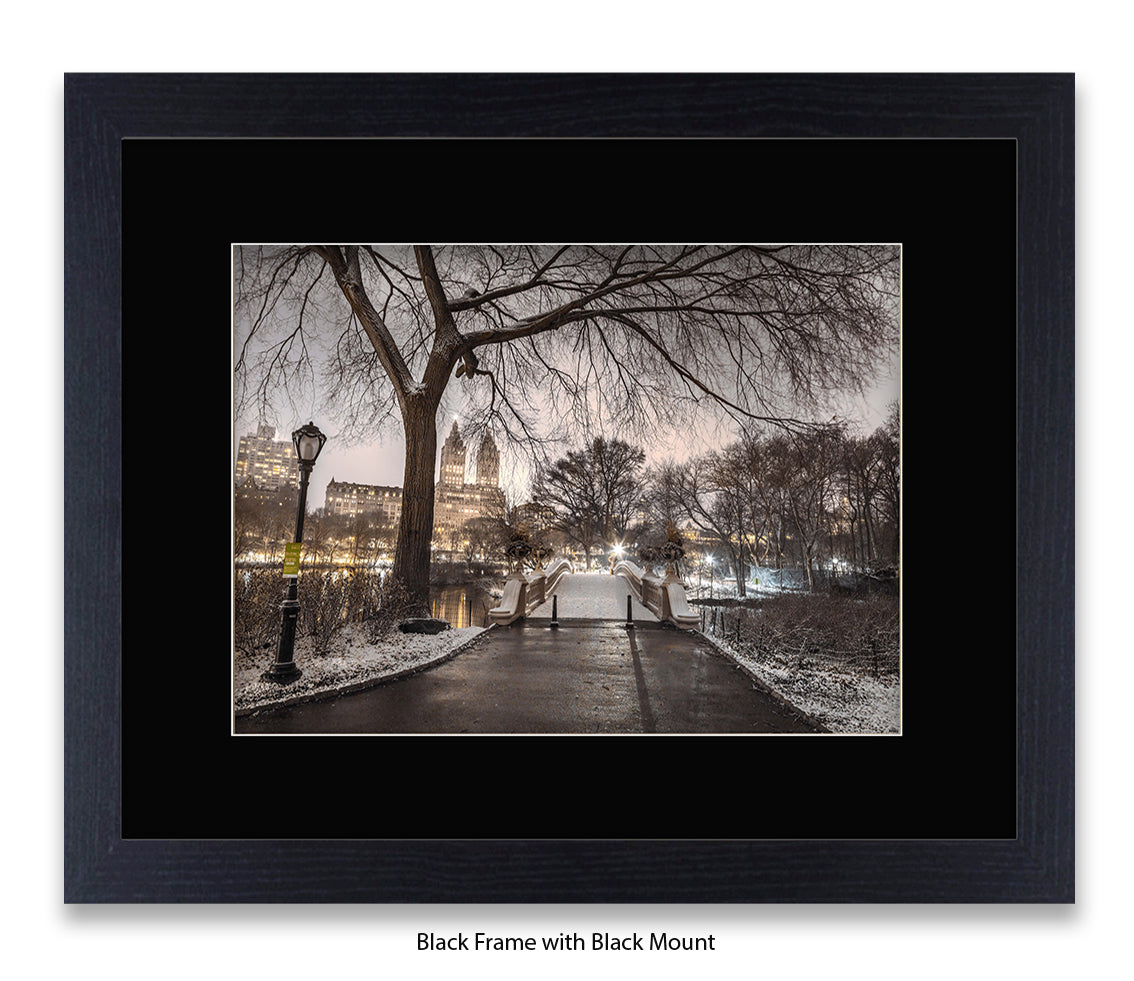 NYC Central Park Evening View Assaf Frank Art Print