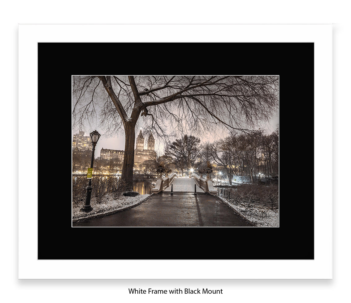 NYC Central Park Evening View Assaf Frank Art Print