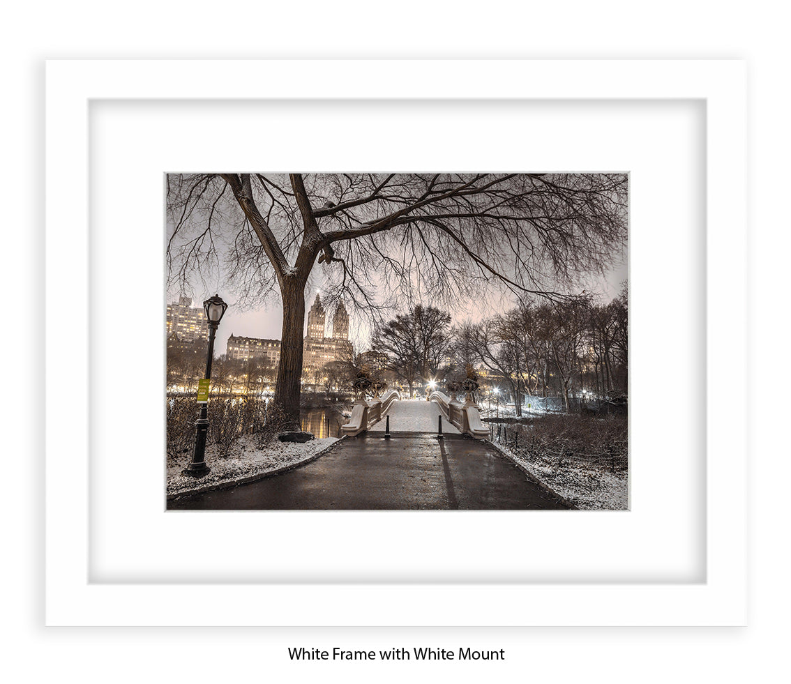 NYC Central Park Evening View Assaf Frank Art Print