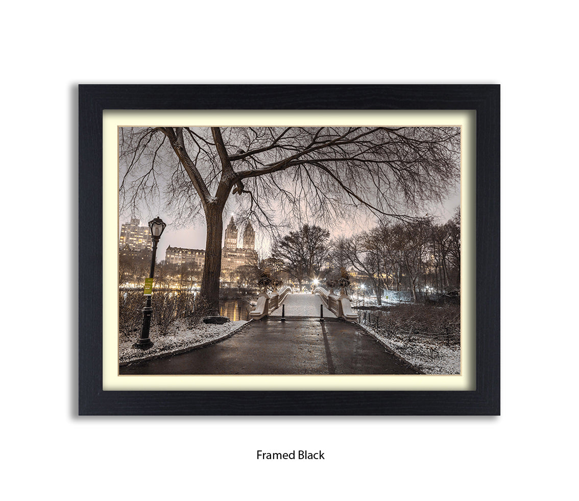 NYC Central Park Evening View Assaf Frank Art Print