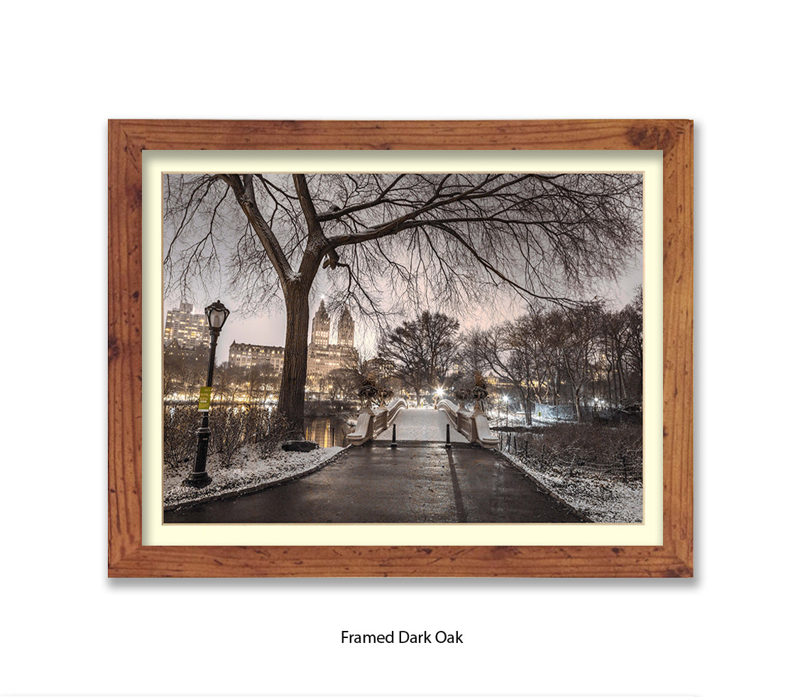 NYC Central Park Evening View Assaf Frank Art Print