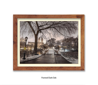 NYC Central Park Evening View Assaf Frank Art Print