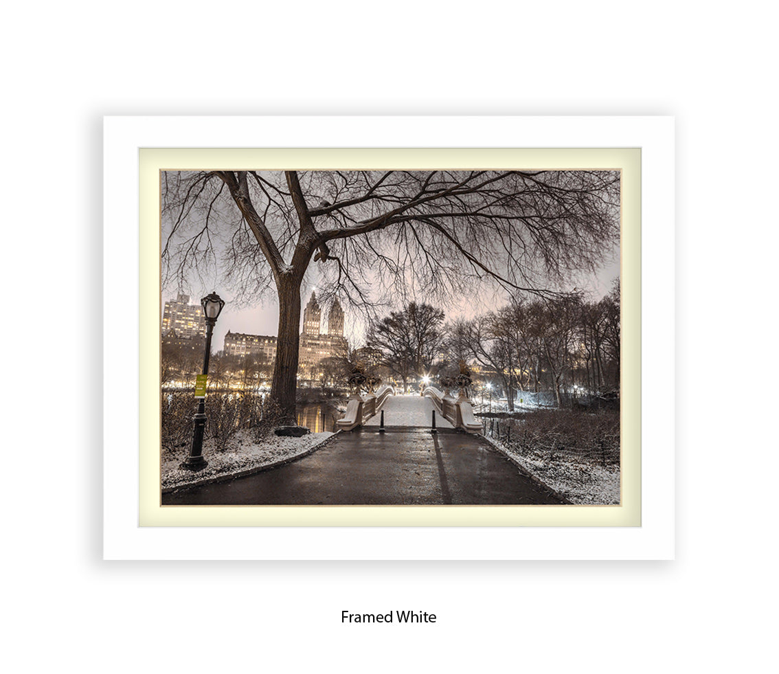 NYC Central Park Evening View Assaf Frank Art Print