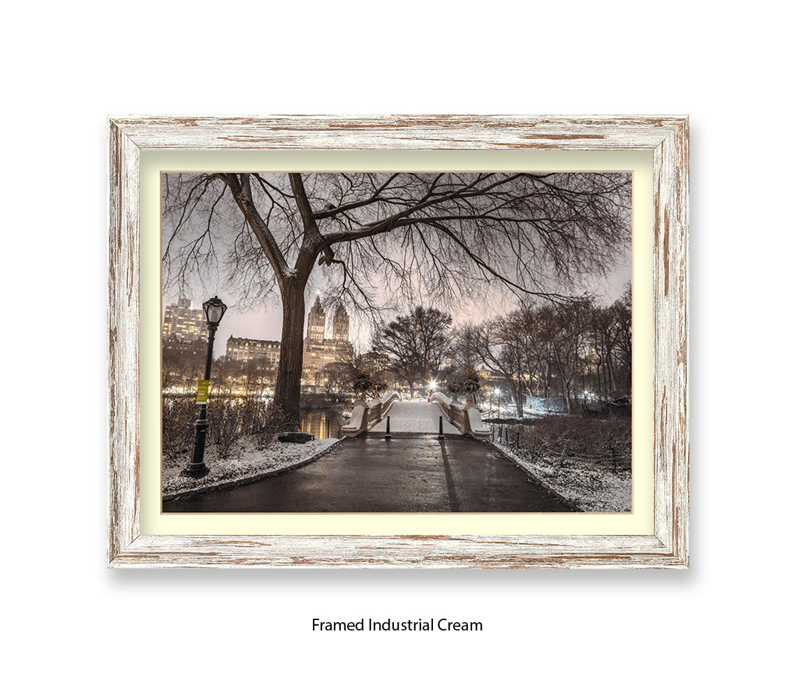 NYC Central Park Evening View Assaf Frank Art Print