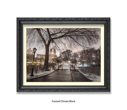 NYC Central Park Evening View Assaf Frank Art Print