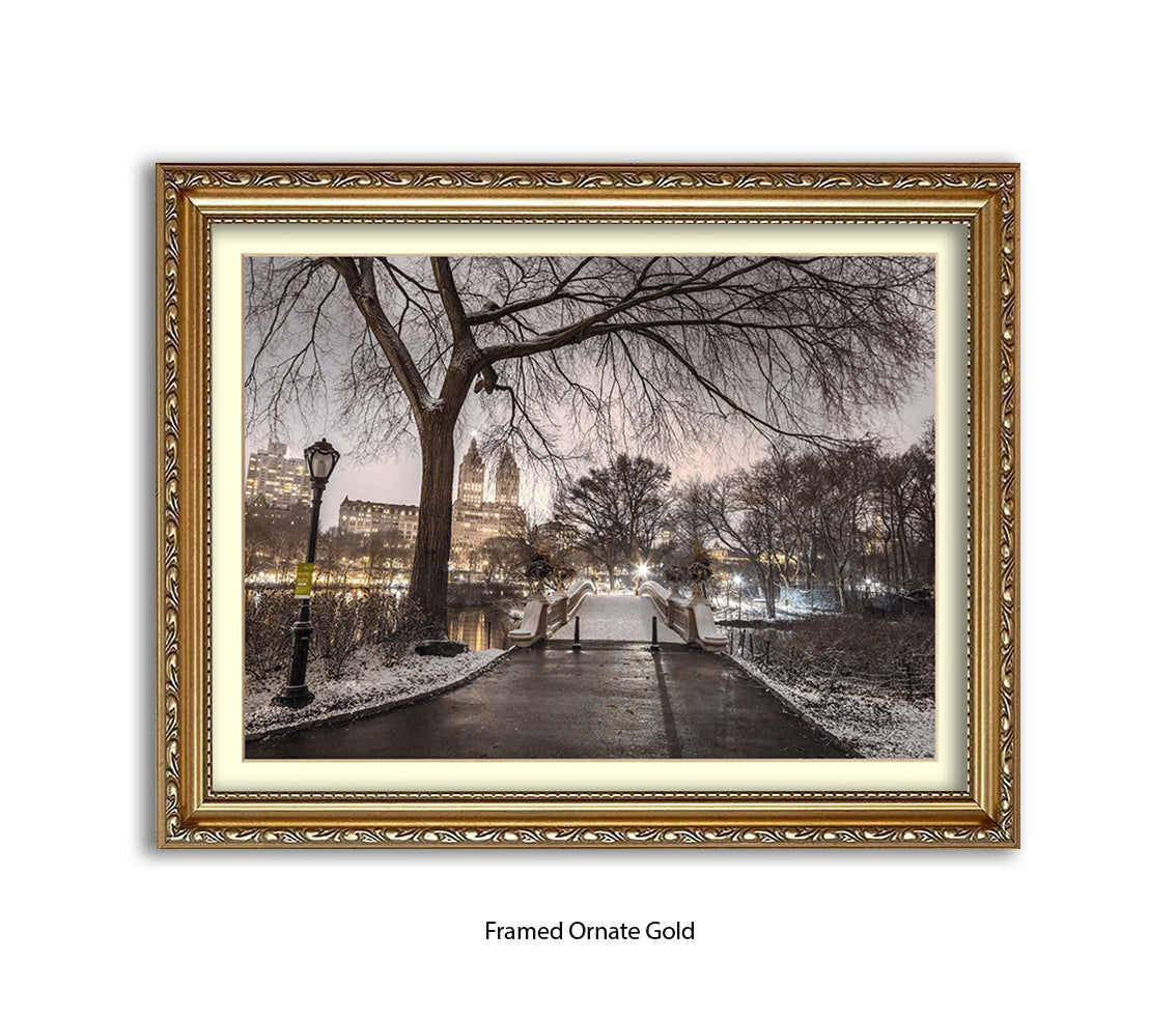 NYC Central Park Evening View Assaf Frank Art Print