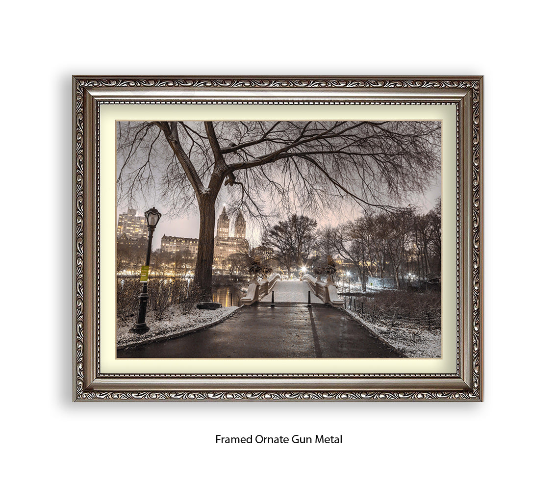 NYC Central Park Evening View Assaf Frank Art Print