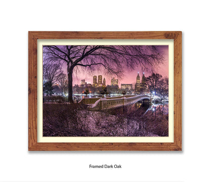 NYC Central Park With Manhattan Skyline Red Sky Assaf Frank Art Print