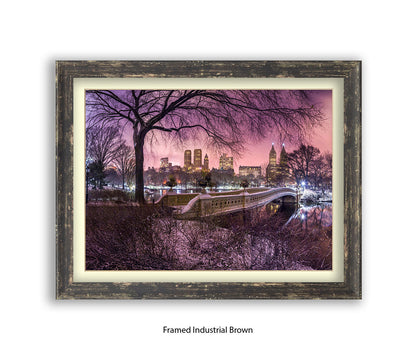 NYC Central Park With Manhattan Skyline Red Sky Assaf Frank Art Print