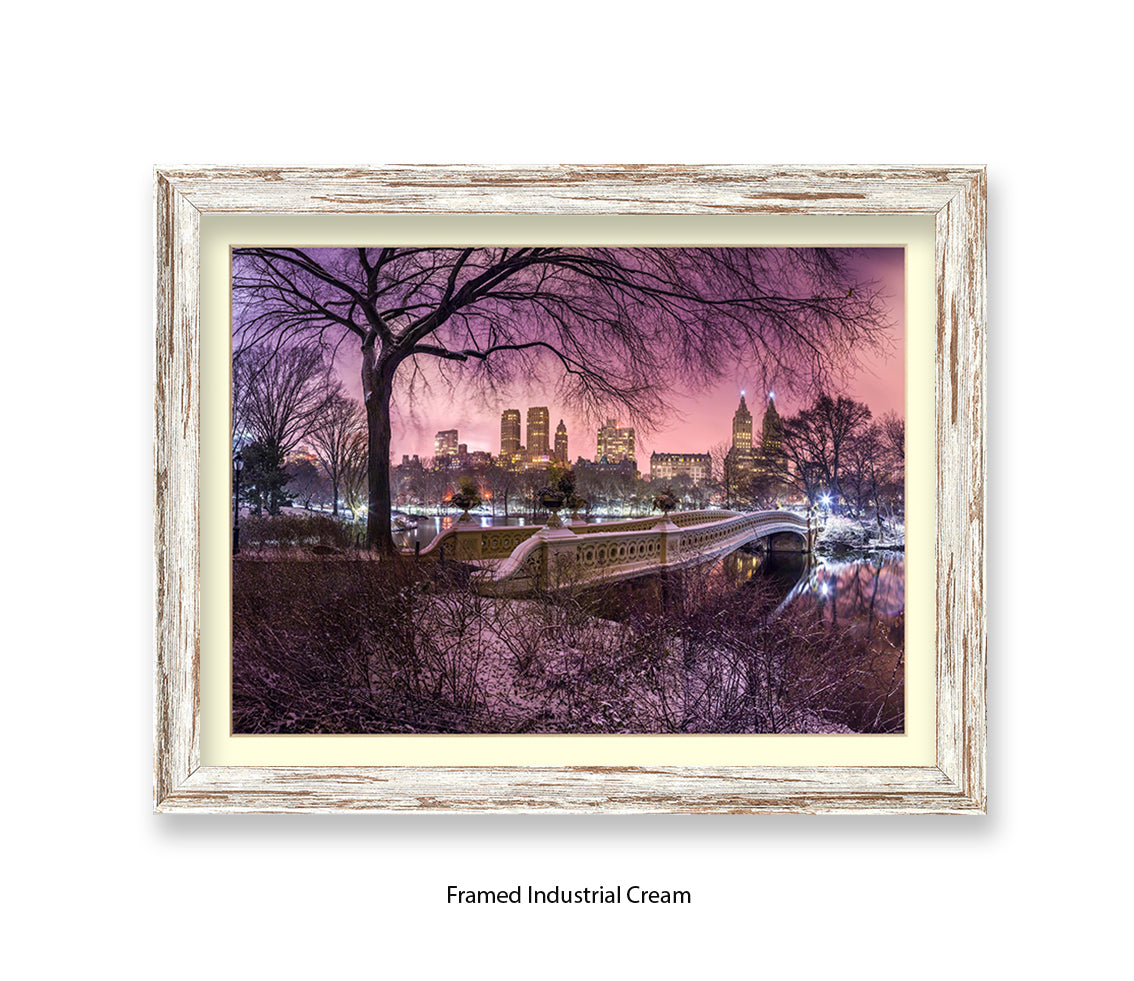 NYC Central Park With Manhattan Skyline Red Sky Assaf Frank Art Print