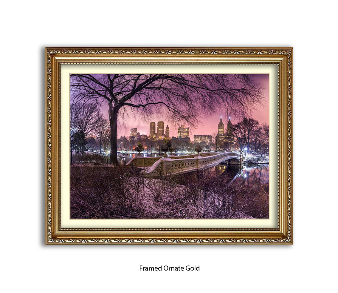 NYC Central Park With Manhattan Skyline Red Sky Assaf Frank Art Print