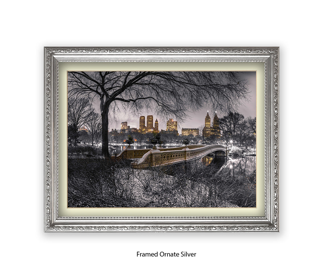 NYC Central Park With Manhattan Skyline Assaf Frank Art Print