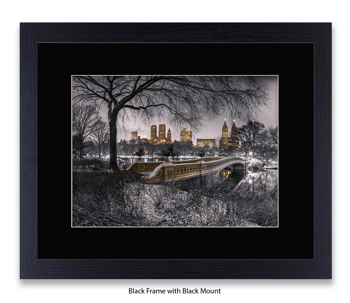 NYC Central Park With Manhattan Skyline Assaf Frank Art Print