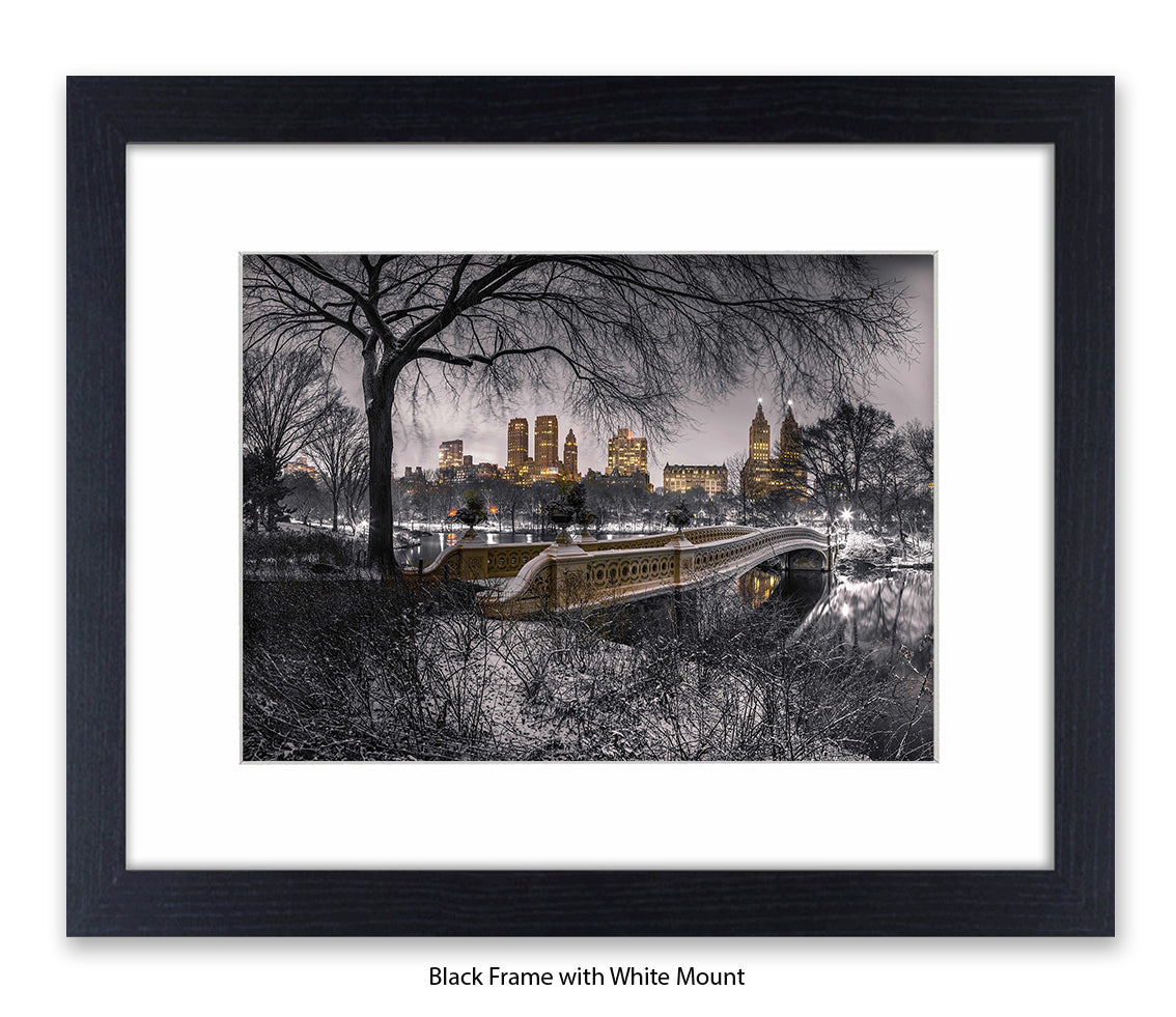 NYC Central Park With Manhattan Skyline Assaf Frank Art Print