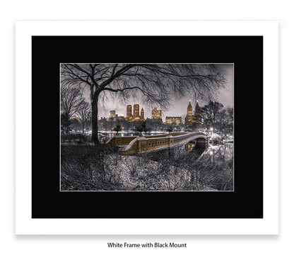 NYC Central Park With Manhattan Skyline Assaf Frank Art Print