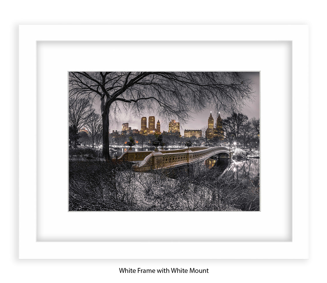 NYC Central Park With Manhattan Skyline Assaf Frank Art Print