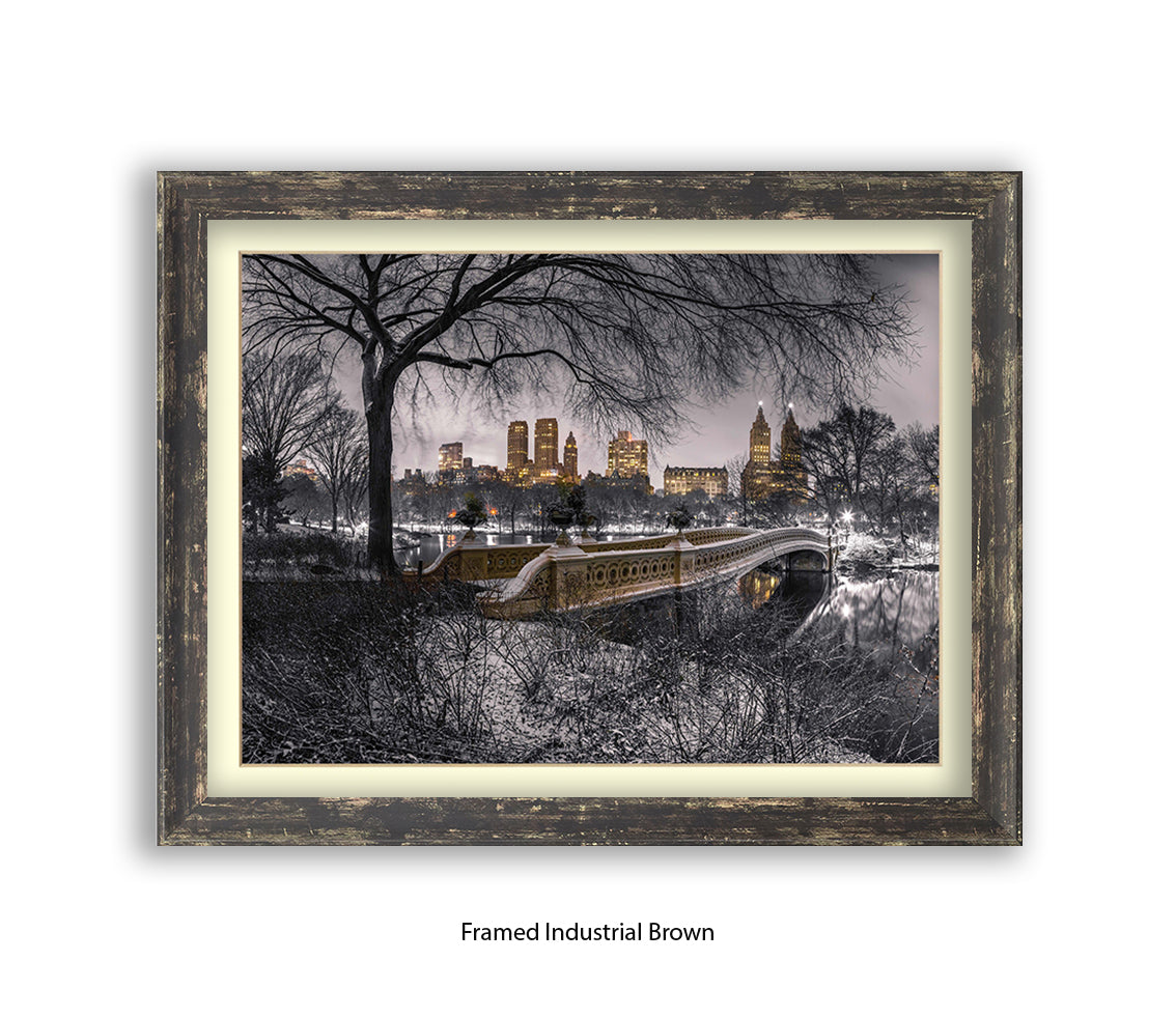 NYC Central Park With Manhattan Skyline Assaf Frank Art Print