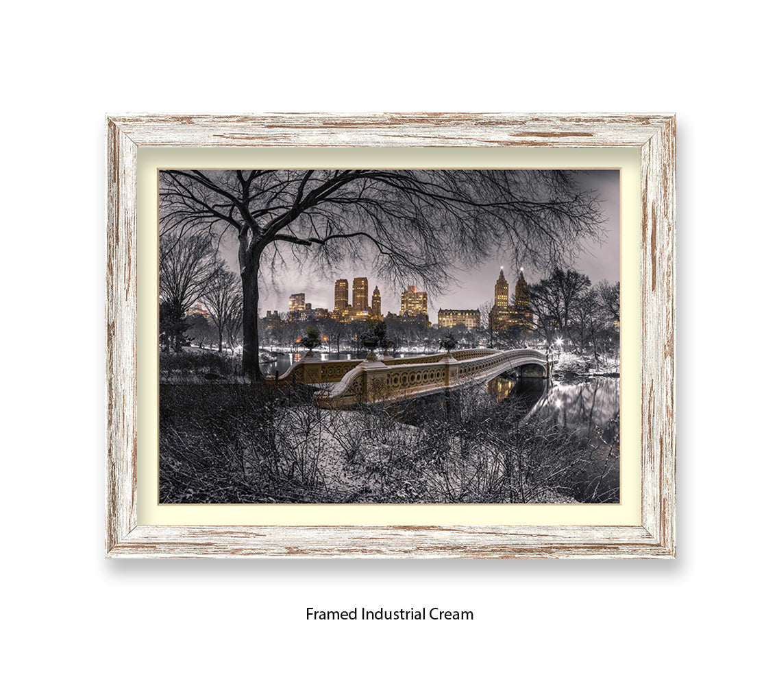 NYC Central Park With Manhattan Skyline Assaf Frank Art Print