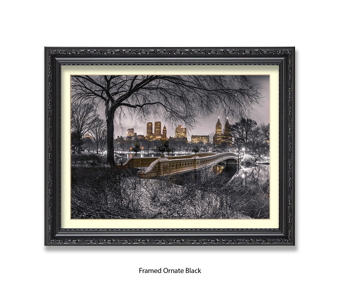 NYC Central Park With Manhattan Skyline Assaf Frank Art Print