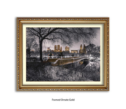 NYC Central Park With Manhattan Skyline Assaf Frank Art Print