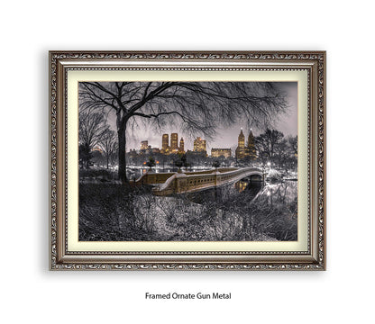 NYC Central Park With Manhattan Skyline Assaf Frank Art Print