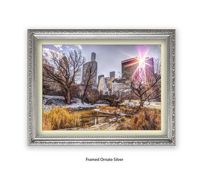 NYC Central Park Sunlight Assaf Frank Art Print