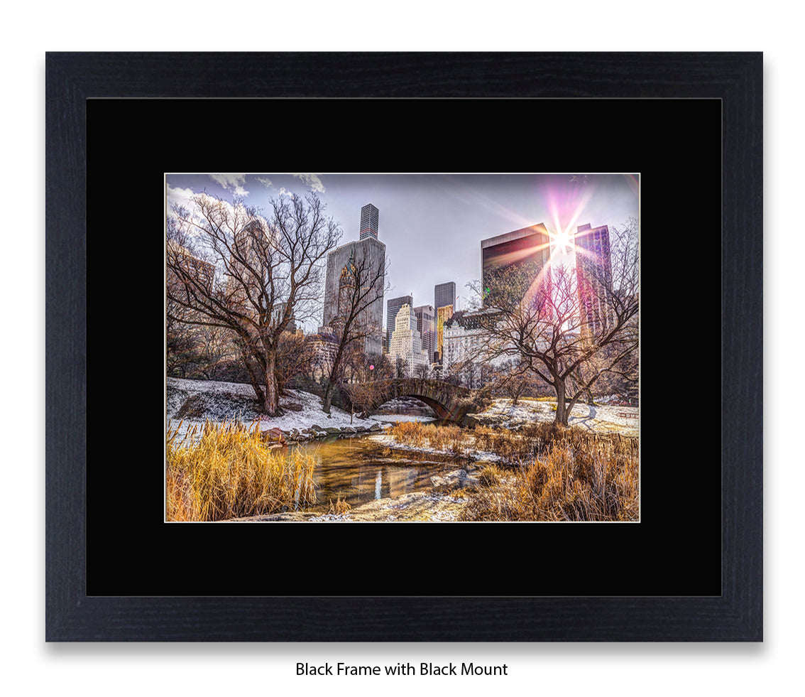 NYC Central Park Sunlight Assaf Frank Art Print