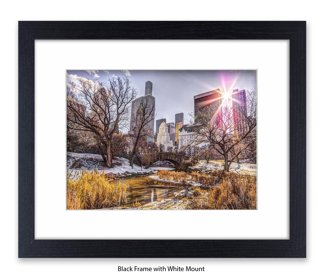 NYC Central Park Sunlight Assaf Frank Art Print