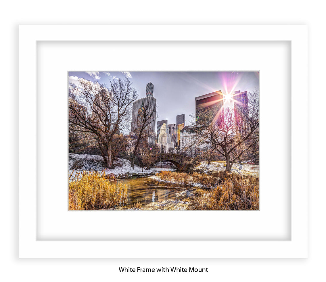 NYC Central Park Sunlight Assaf Frank Art Print