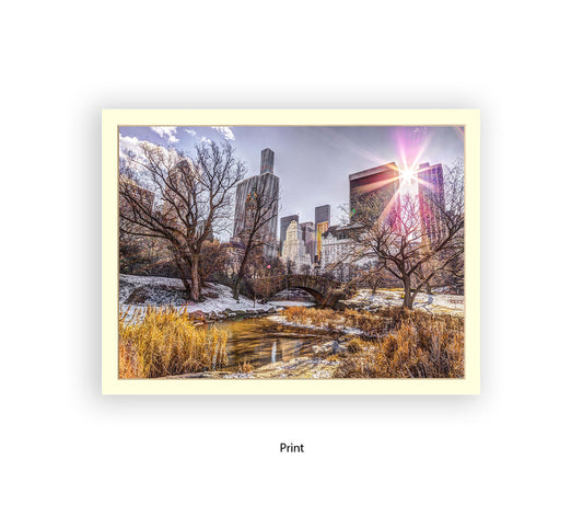 NYC Central Park Sunlight Assaf Frank Art Print