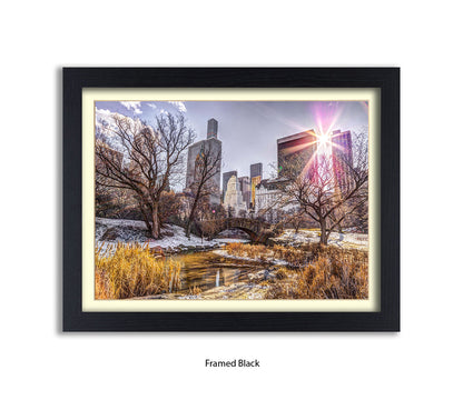 NYC Central Park Sunlight Assaf Frank Art Print