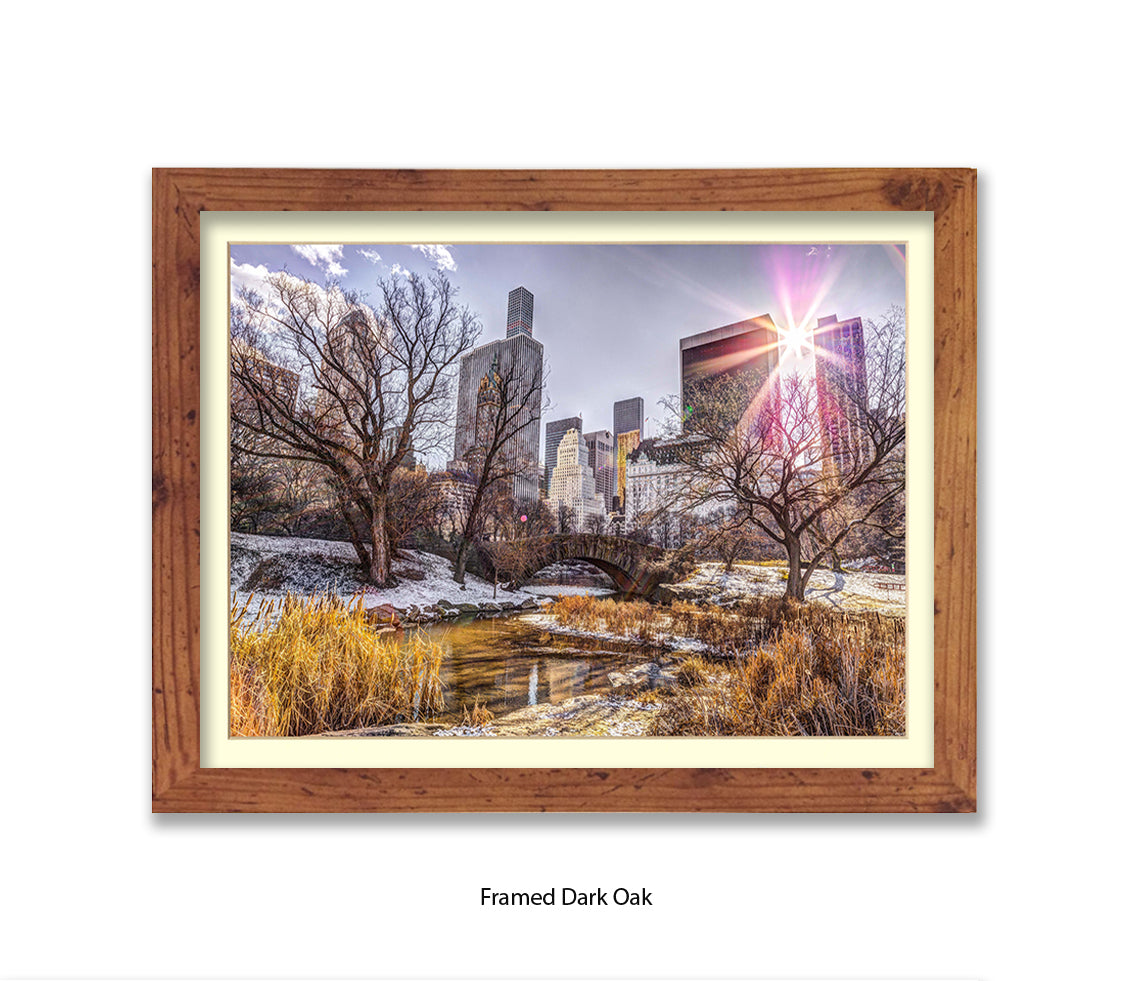 NYC Central Park Sunlight Assaf Frank Art Print