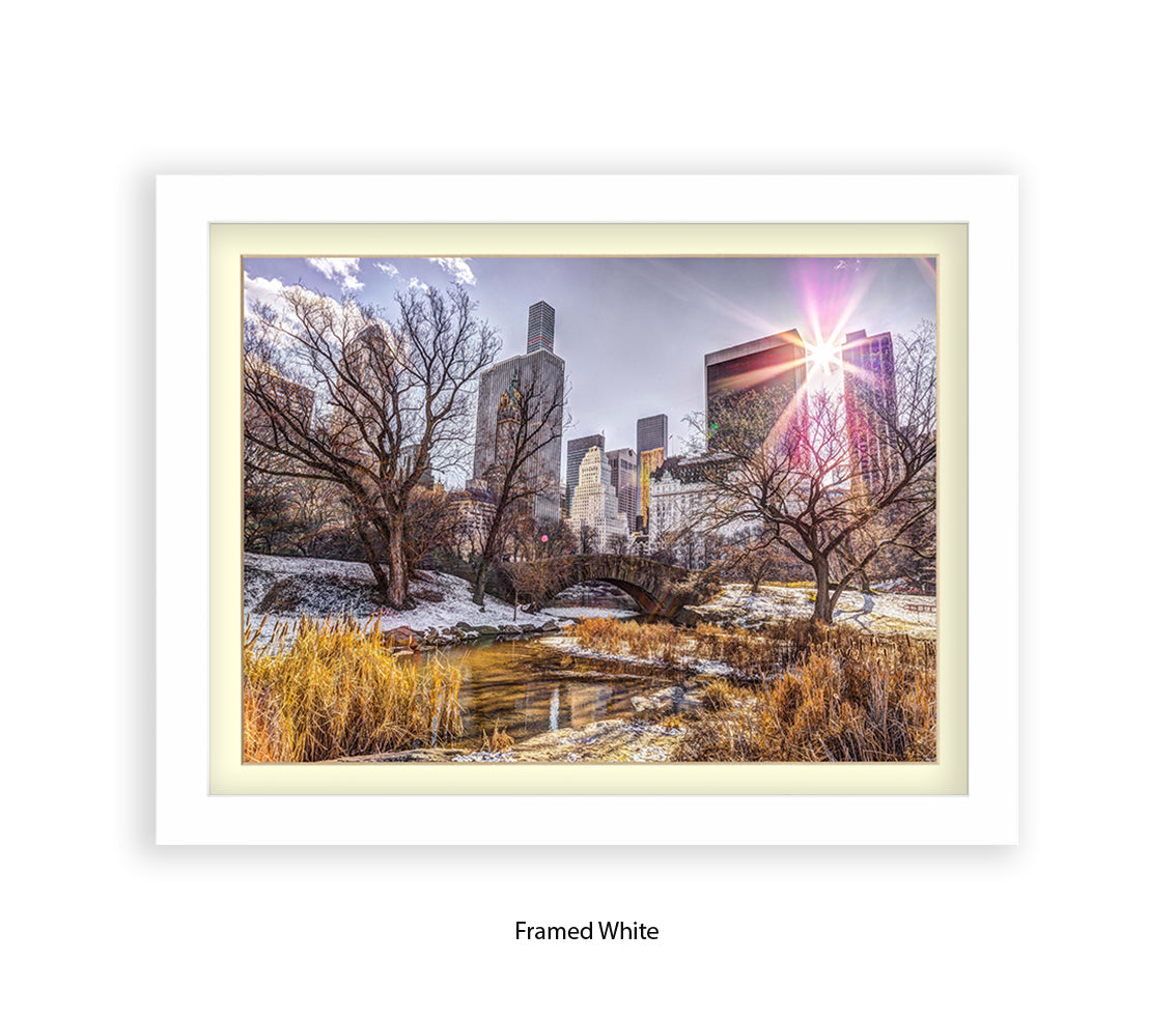 NYC Central Park Sunlight Assaf Frank Art Print