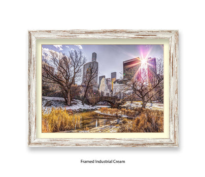 NYC Central Park Sunlight Assaf Frank Art Print