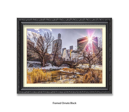 NYC Central Park Sunlight Assaf Frank Art Print