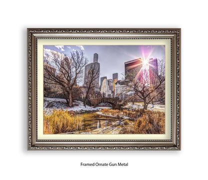 NYC Central Park Sunlight Assaf Frank Art Print