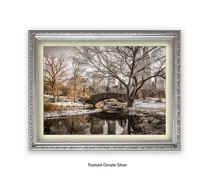 NYC Central Park Winters Day Assaf Frank Art Print