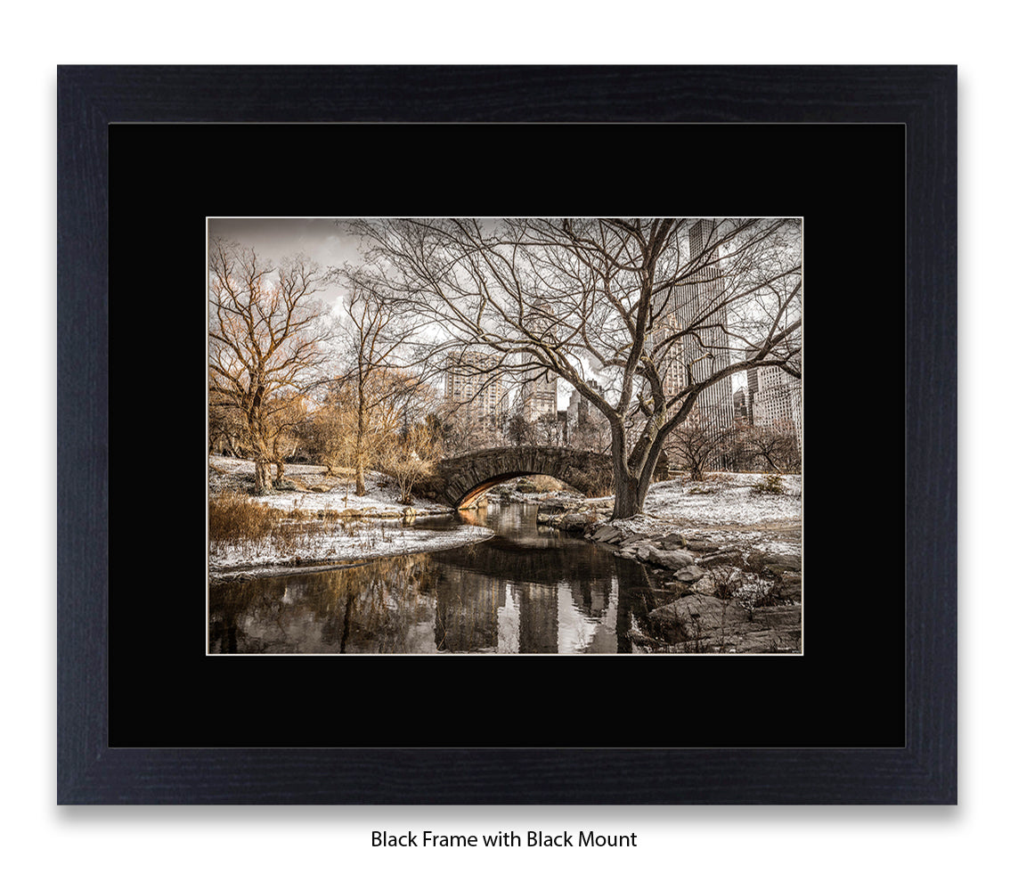 NYC Central Park Winters Day Assaf Frank Art Print