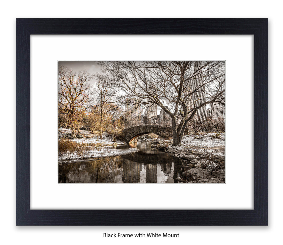 NYC Central Park Winters Day Assaf Frank Art Print