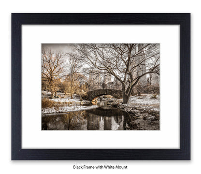 NYC Central Park Winters Day Assaf Frank Art Print