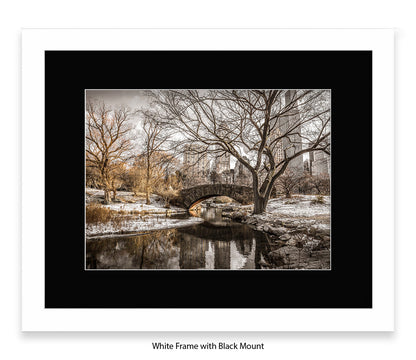 NYC Central Park Winters Day Assaf Frank Art Print