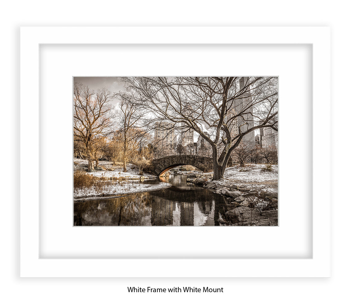 NYC Central Park Winters Day Assaf Frank Art Print