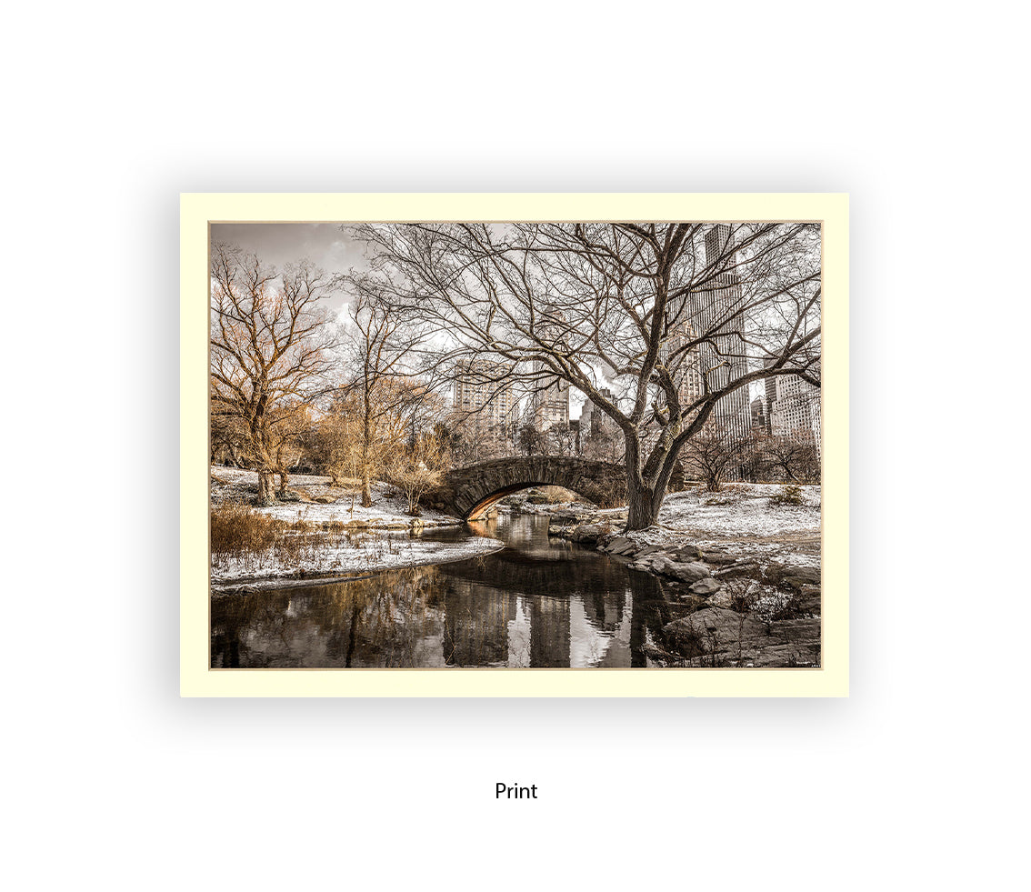 NYC Central Park Winters Day Assaf Frank Art Print