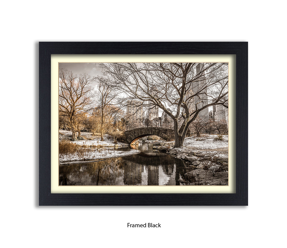 NYC Central Park Winters Day Assaf Frank Art Print