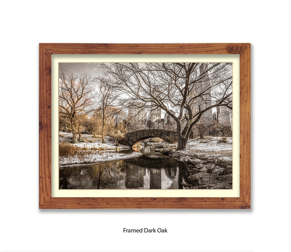 NYC Central Park Winters Day Assaf Frank Art Print