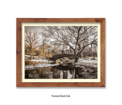 NYC Central Park Winters Day Assaf Frank Art Print