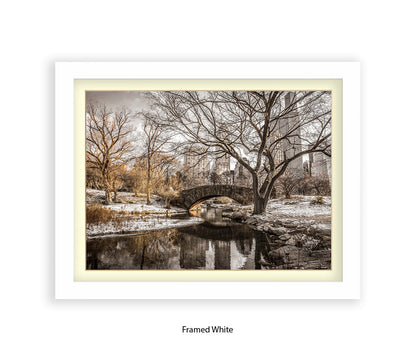 NYC Central Park Winters Day Assaf Frank Art Print