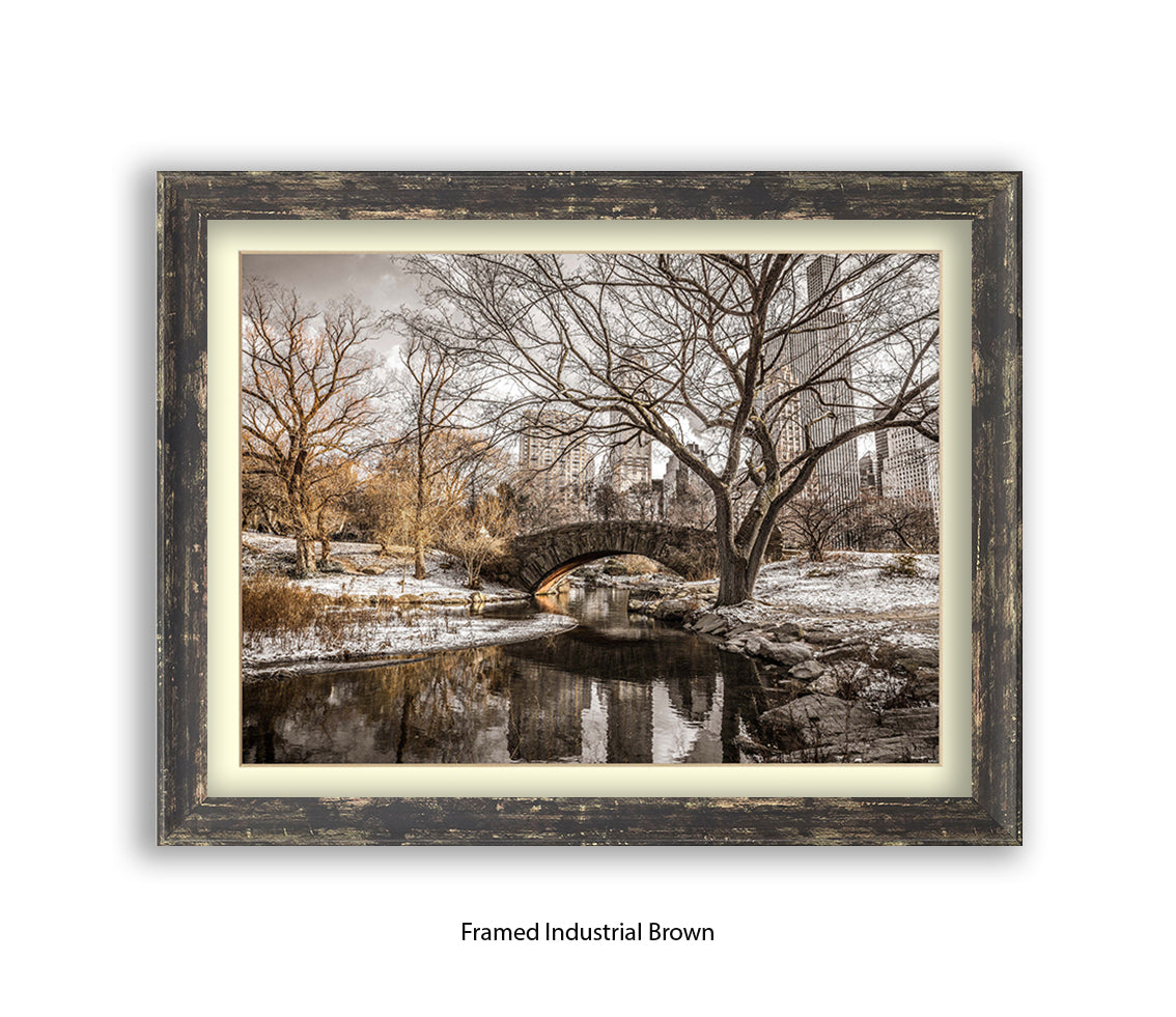 NYC Central Park Winters Day Assaf Frank Art Print