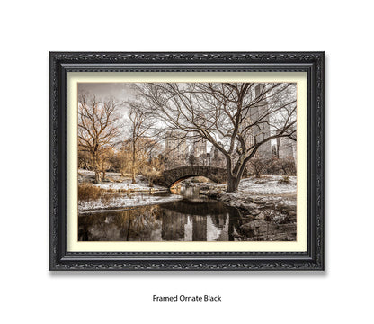 NYC Central Park Winters Day Assaf Frank Art Print